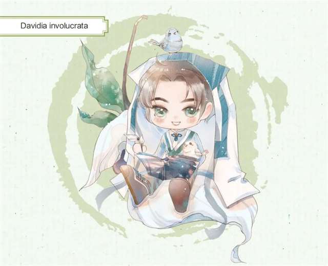 中国风植物拟人高清无水印图