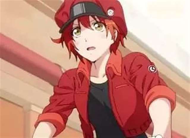 给大家介绍那些事物拟人的动漫