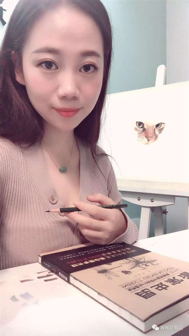 昆虫画师倪梦雅 “你一个姑娘家，为什么要画虫子？”