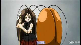 蟑螂娘也能很可爱