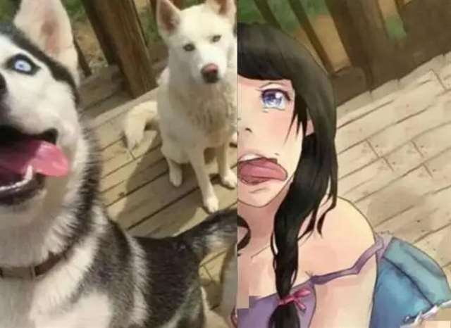 蟑螂娘vs猫娘 蟑螂娘更性感