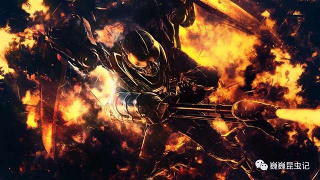 动漫昆虫,那些以昆虫为原型的动漫人物