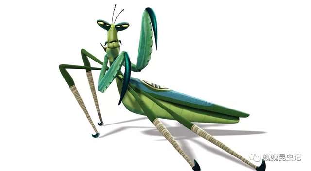 动漫昆虫,那些以昆虫为原型的动漫人物