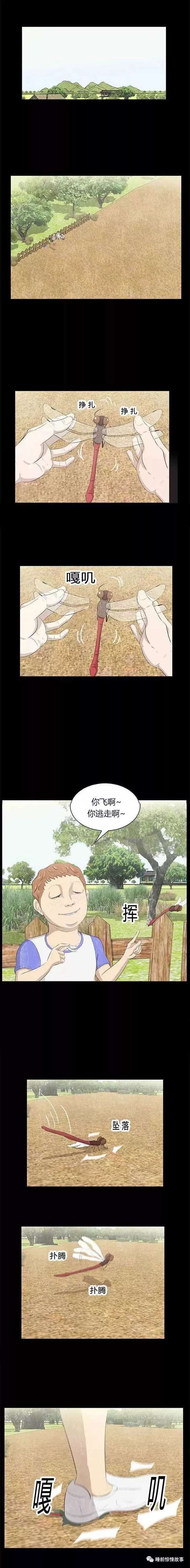 『恐怖人性漫画』昆虫的悲鸣