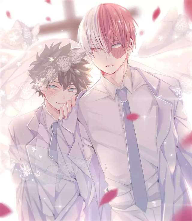 我的英雄学院-轰出CP篇