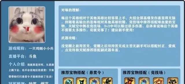  《忍者必须死3》琳的大神理解和建议