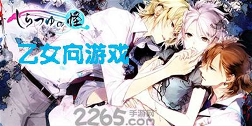 《乙女蹂躏游戏在线播～Maiden Infringement Play～》