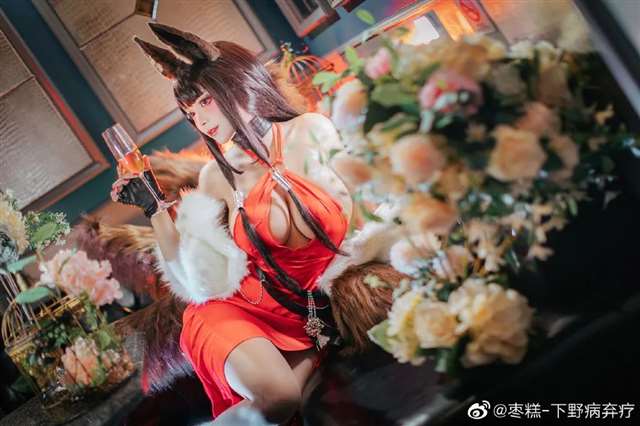  CN:枣糕-下野病弃疗Cosplay