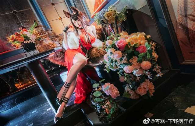  CN:枣糕-下野病弃疗Cosplay