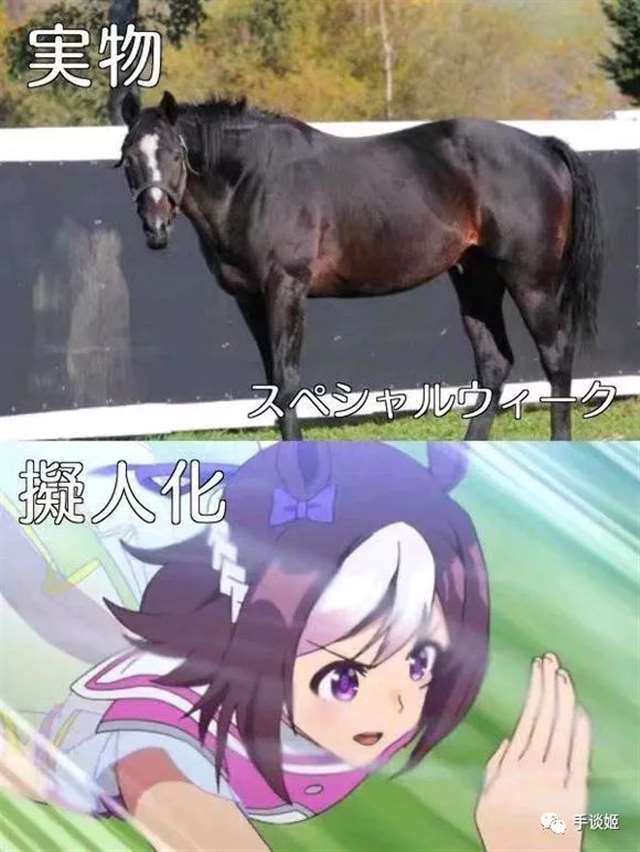  万物皆可拟人，将细胞拟人化