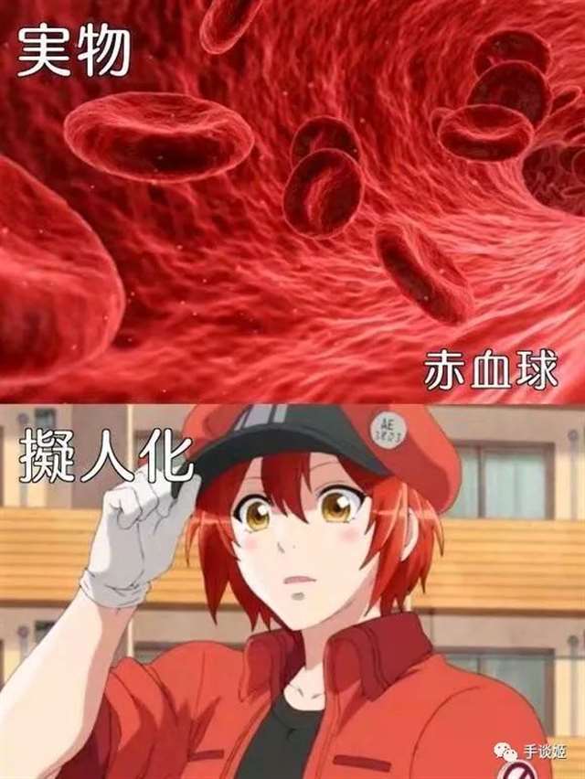  万物皆可拟人，将细胞拟人化