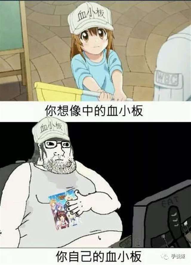  万物皆可拟人，将细胞拟人化