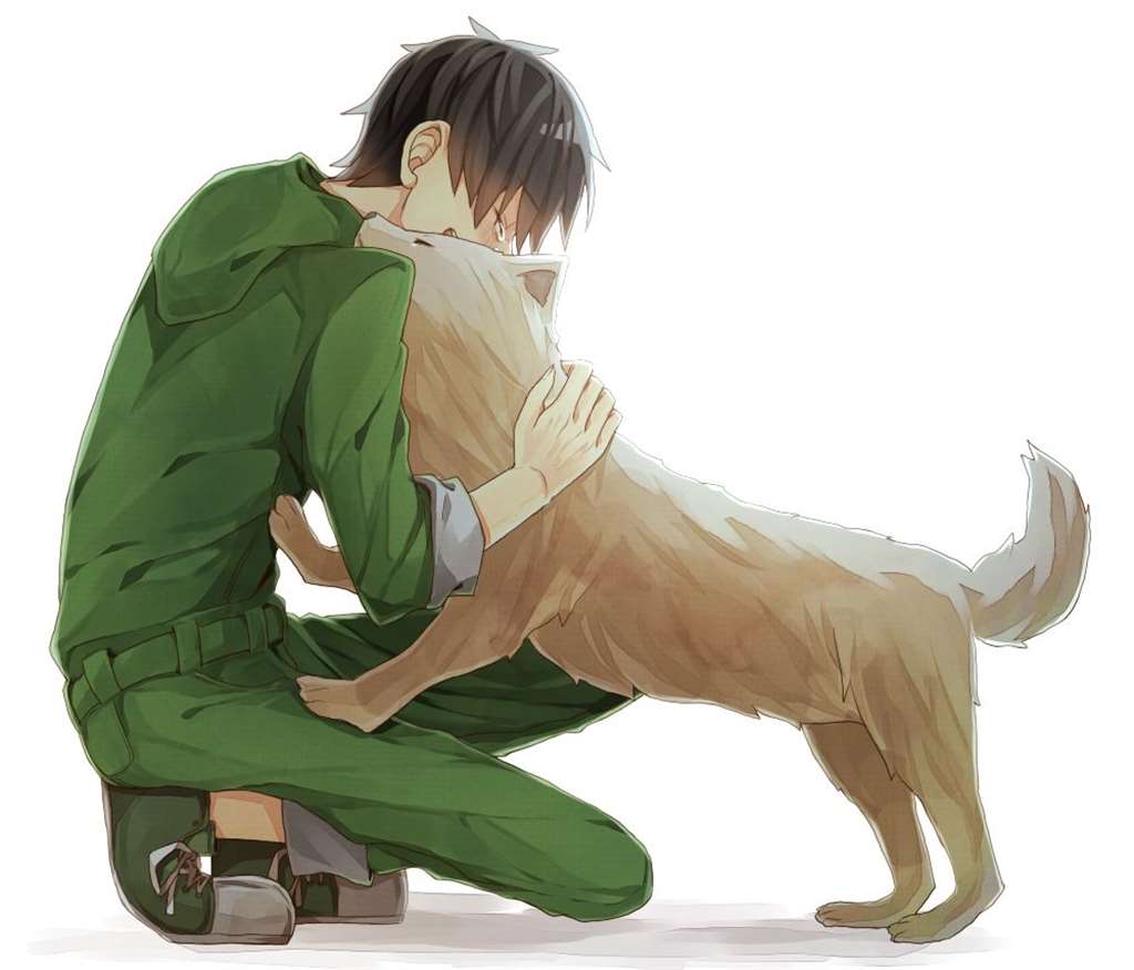 目隐都市的演绎者 好看的壁纸