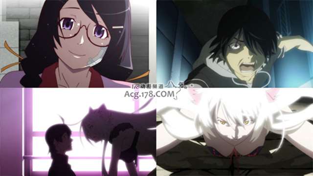  物语系列动漫，大家看过几部？