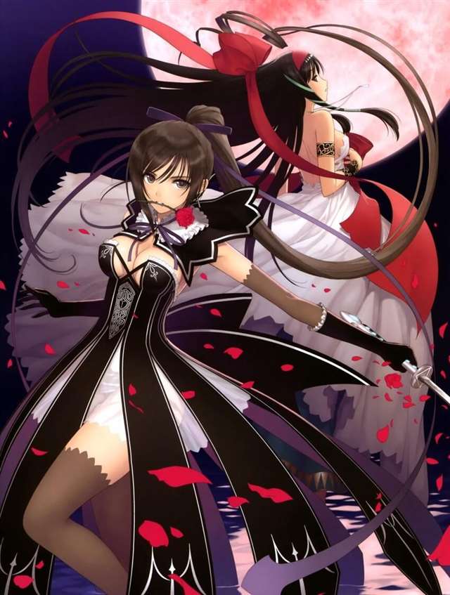  游戏《光明之刃》中的女主角咲夜(sakuya)