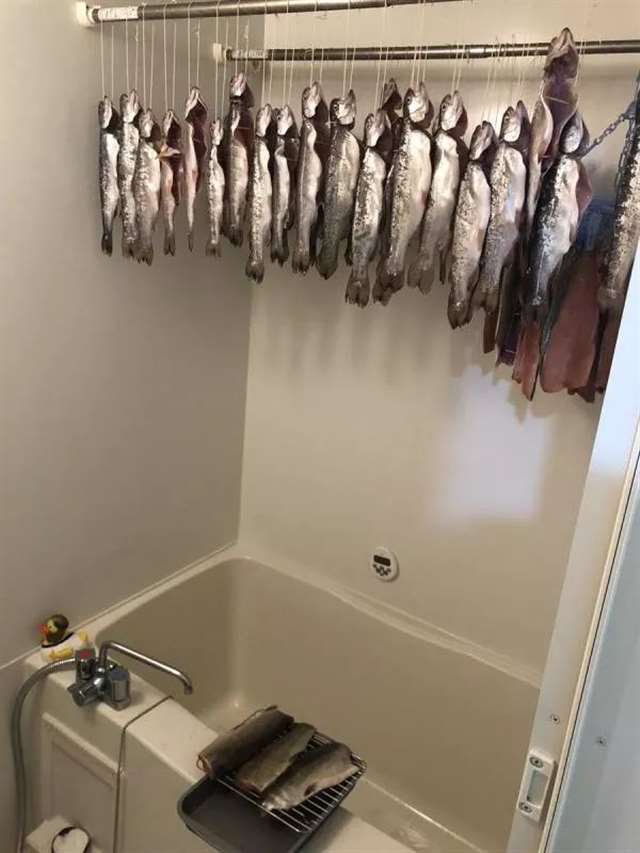 51岁女星叶美香COS了《JOJO的奇妙冒险：黄金之风》女主特里休·乌纳