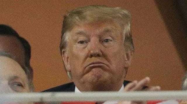 椎名真白的作品图集