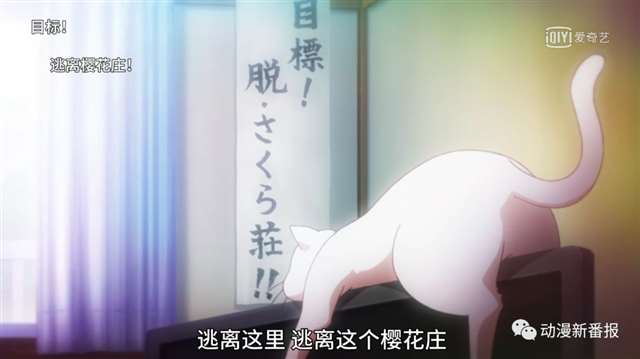 一部甜甜的狗粮番《樱花庄的宠物女孩》