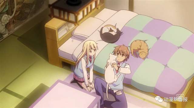 一部甜甜的狗粮番《樱花庄的宠物女孩》