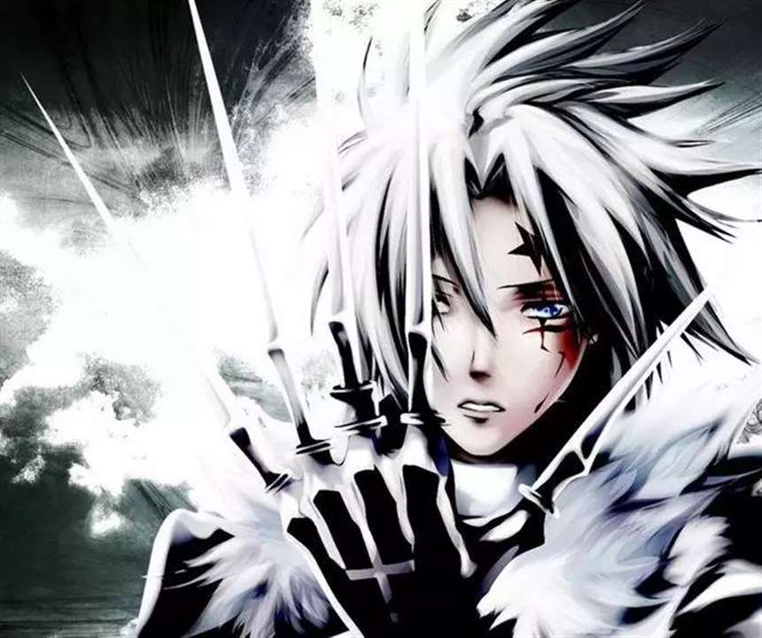 gray-man《驱魔少年》