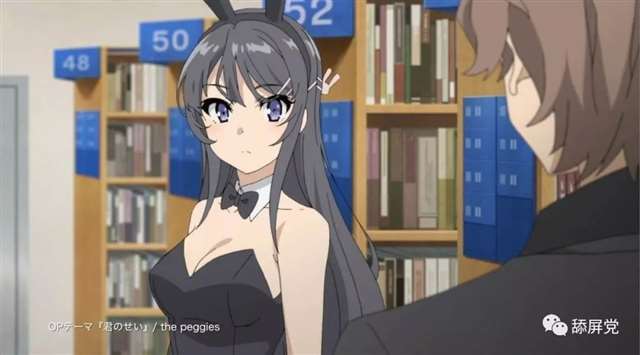 樱岛麻衣／兔女郎学姐