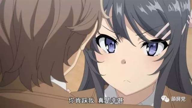 樱岛麻衣／兔女郎学姐