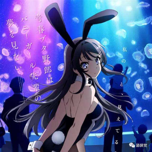 樱岛麻衣／兔女郎学姐