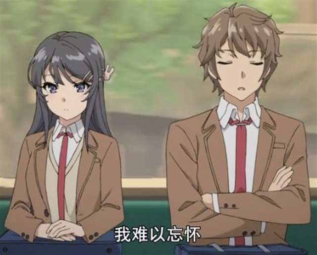 《青春猪头少年不会梦到兔女郎学姐》