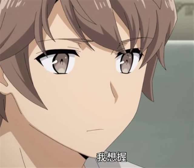 《青春猪头少年不会梦到兔女郎学姐》