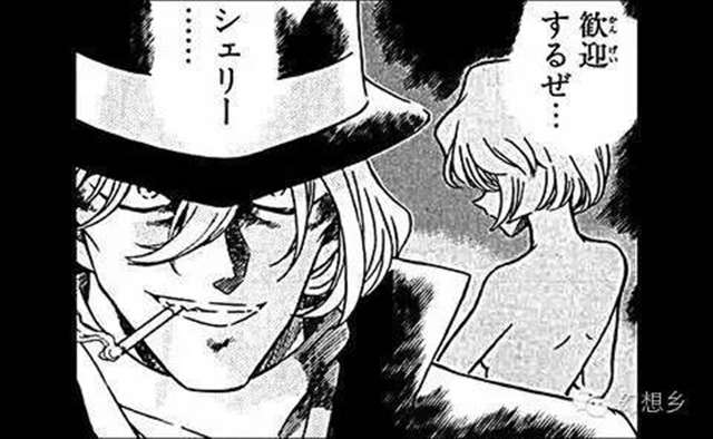 《名侦探柯南》琴酒和雪莉(宫野志保&灰原哀)不可告人的秘密