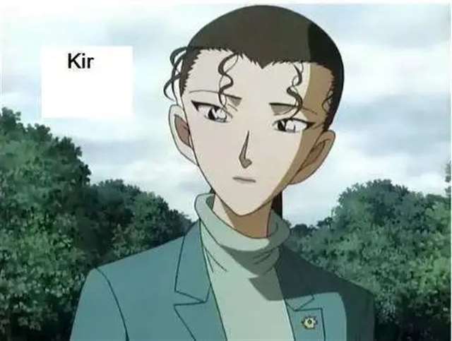 《名侦探柯南》黑衣组织里面的那些派别