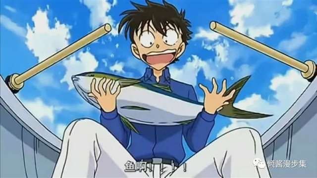 一个非常害怕鱼类的少年怪盗基德