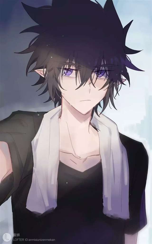 凹凸世界同人壁纸 雷狮(壁纸)