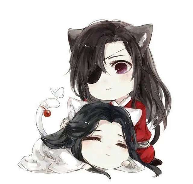 《天官赐福》讲述了 绝望中盛开的花的故事.