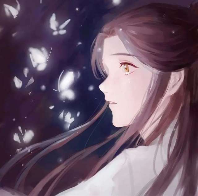 天官赐福动漫壁纸|有大量动态图