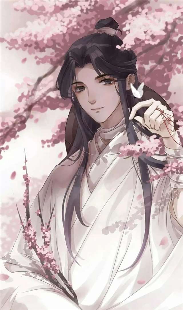 天官赐福 百无禁忌——花城篇