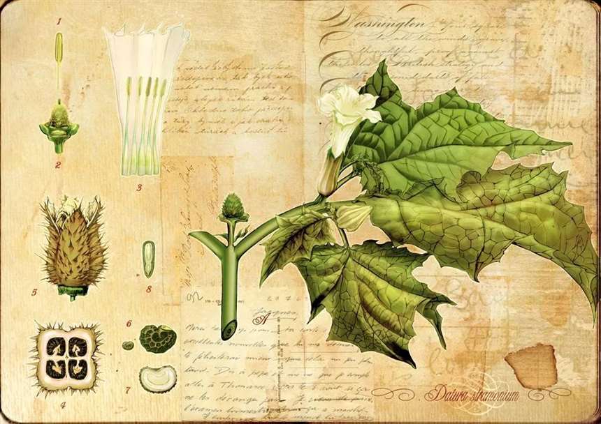 《冥王神话》里新出现的批冥斗士