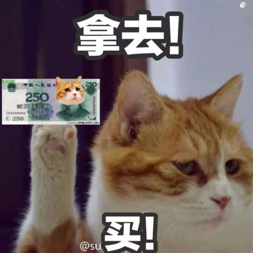 李泽言到底是谁? 