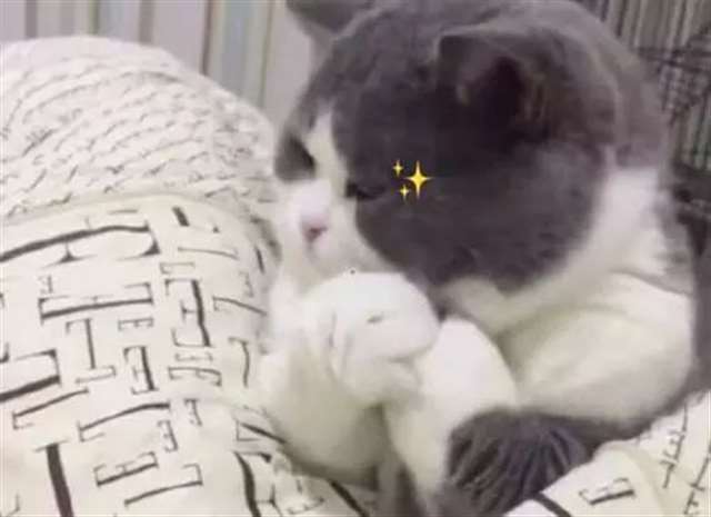 动漫冰上的尤里有点小腐，反感者谨慎观看！！