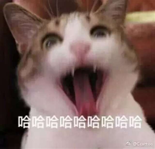 动漫冰上的尤里有点小腐，反感者谨慎观看！！