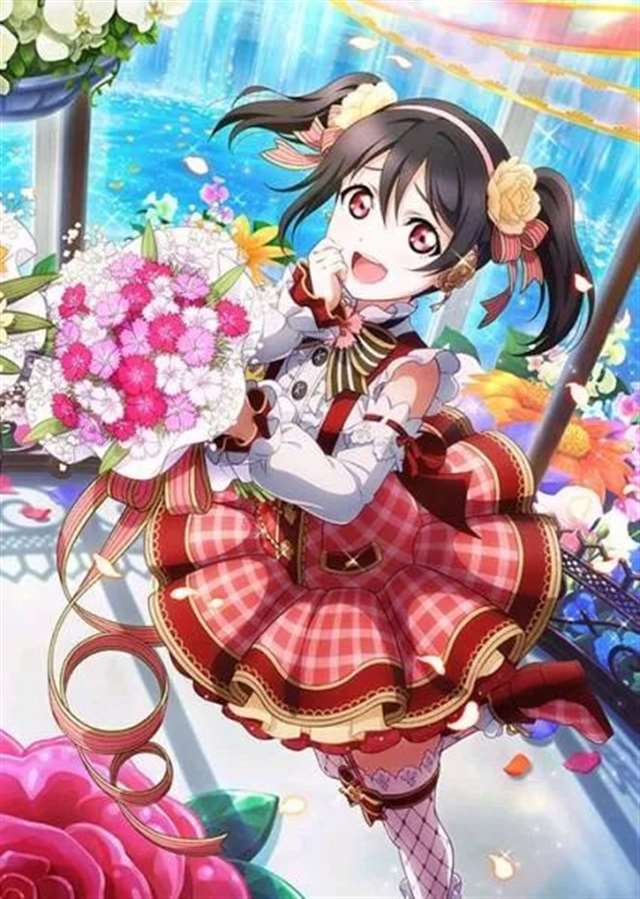 矢泽妮可「LoveLive!」绅士动漫美图