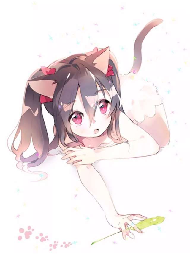 《lovelive!》的 矢泽妮可二次元福利