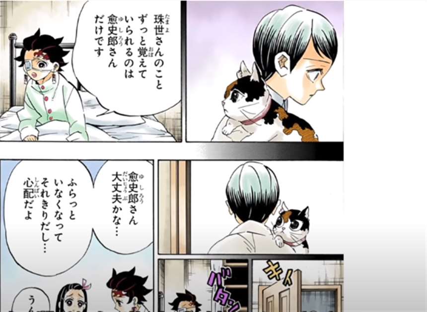 炭次郎和祢豆子后代们的故事?