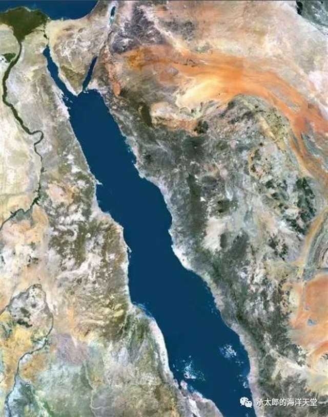 海洋学博士——空条承太郎