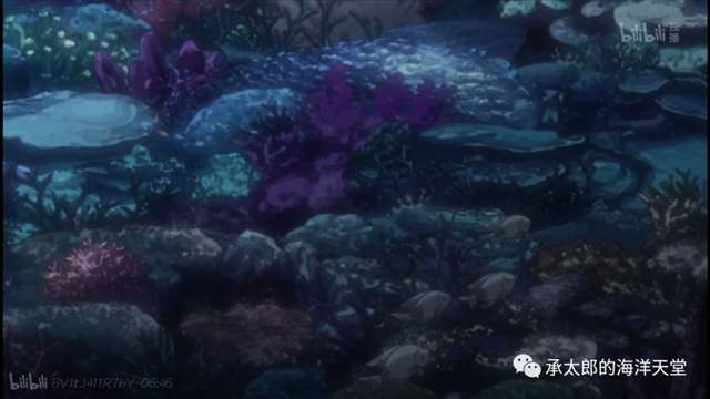 海洋学博士——空条承太郎