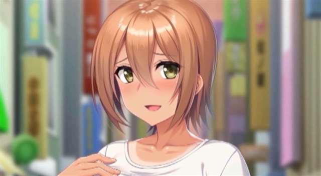 2019夜桜字幕组3D动漫作品合集