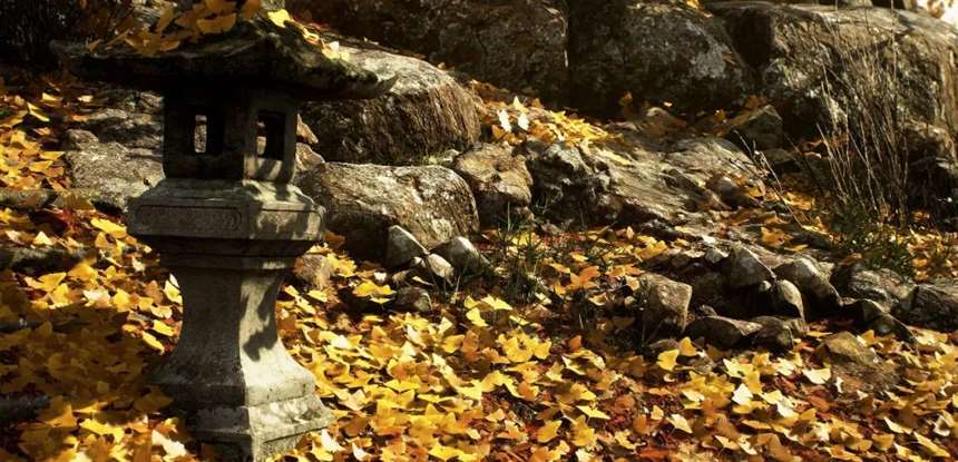 G站精选软萌萝莉PK超A机械娘