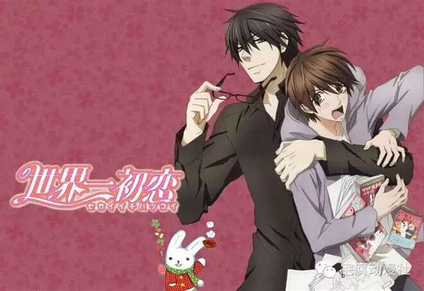 一入腐门深似海，从此节操是路人…必看的十大经典耽美动画