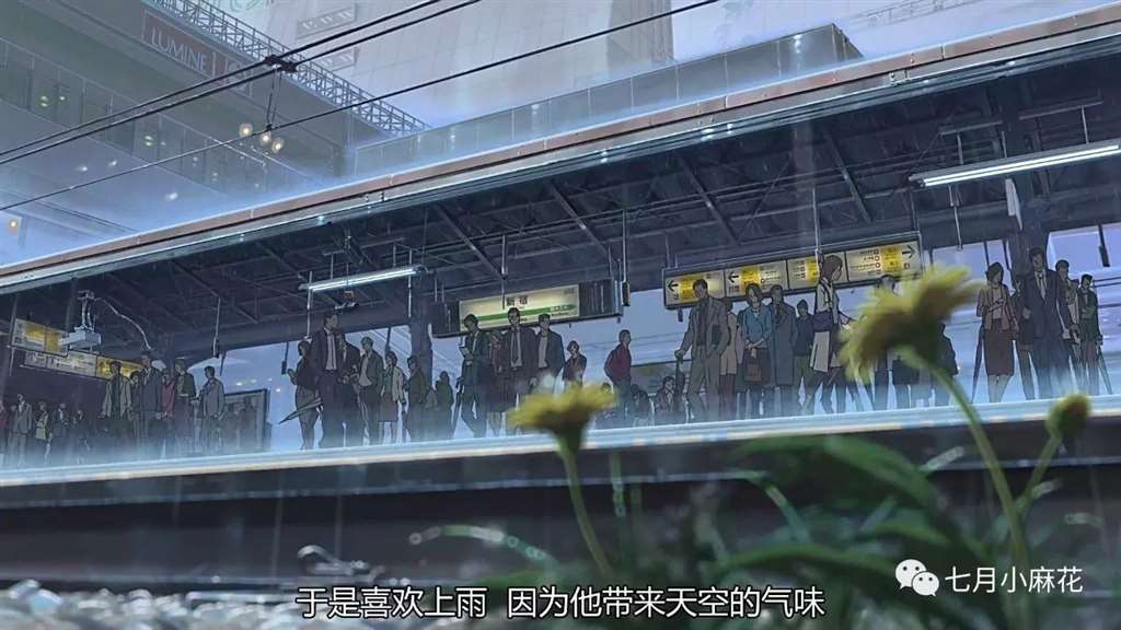 言叶之庭--师生恋包裹下的成人哲学