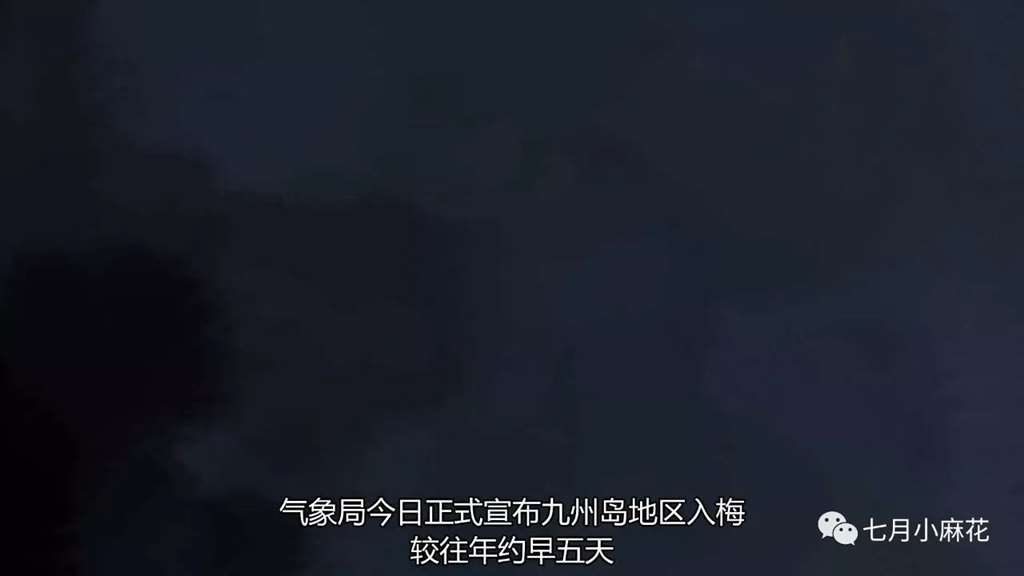 言叶之庭--师生恋包裹下的成人哲学